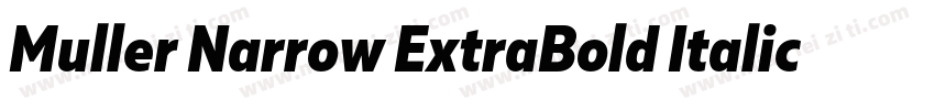 Muller Narrow ExtraBold Italic字体转换